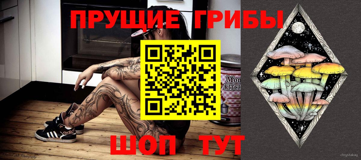 Заинск  Галлюциногенные грибы мухоморы  где можно купить   Вход с VPN 