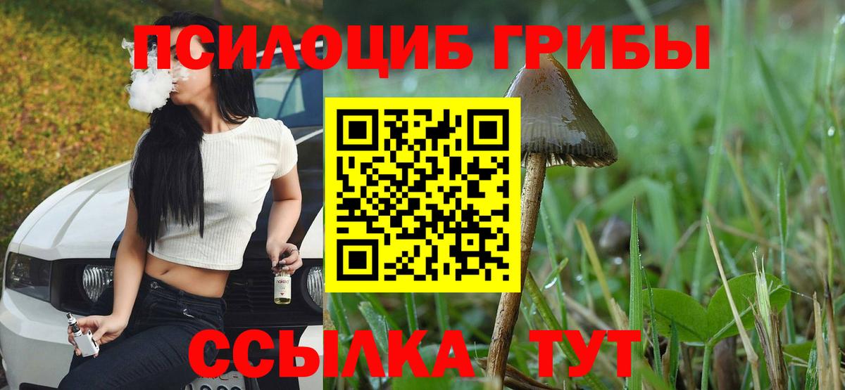 Как найти закладки?  МЕФ кристаллы  ГАШИШ  Заинск  Бошки Шишки  МДМА  Меф  Вход с VPN 